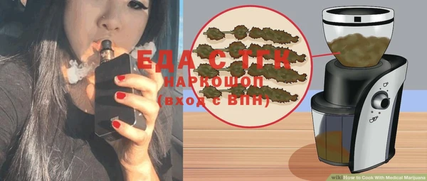 индика Алексин