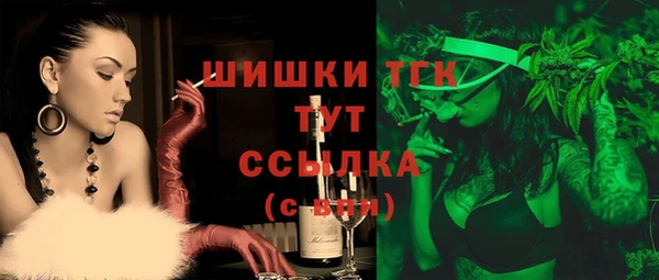 гашик Алексеевка