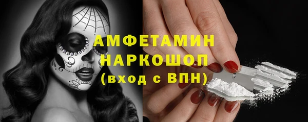 индика Алексин