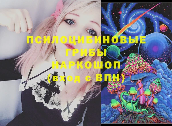 гашик Алексеевка