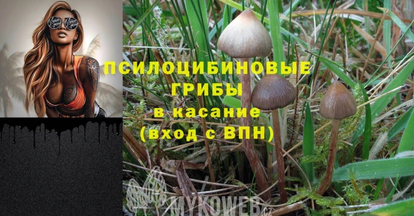 гашик Алексеевка