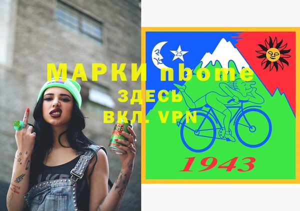 индика Алексин