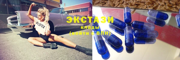 индика Алексин