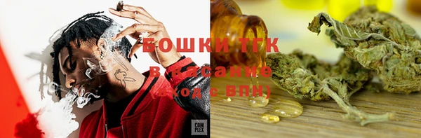 индика Алексин