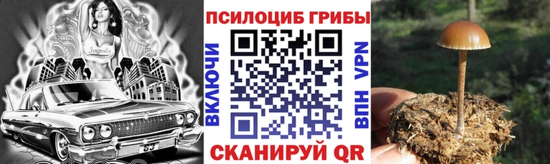 Псилоцибиновые грибы ЛСД  Артёмовск 